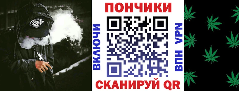 МЕФ Гатчина