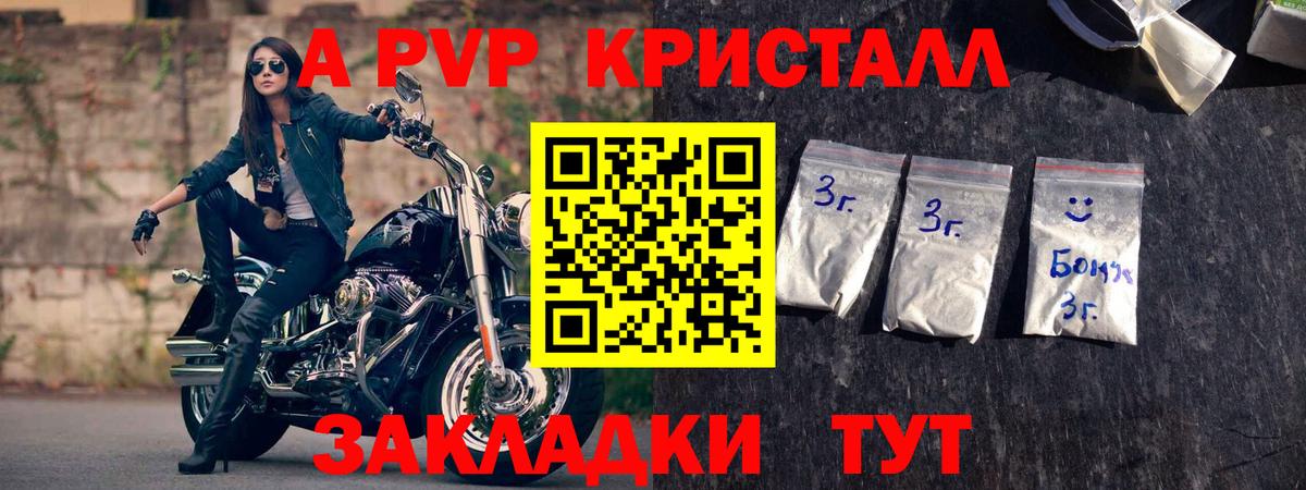 A-PVP СК Гатчина