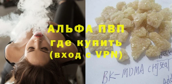 дмт Белокуриха