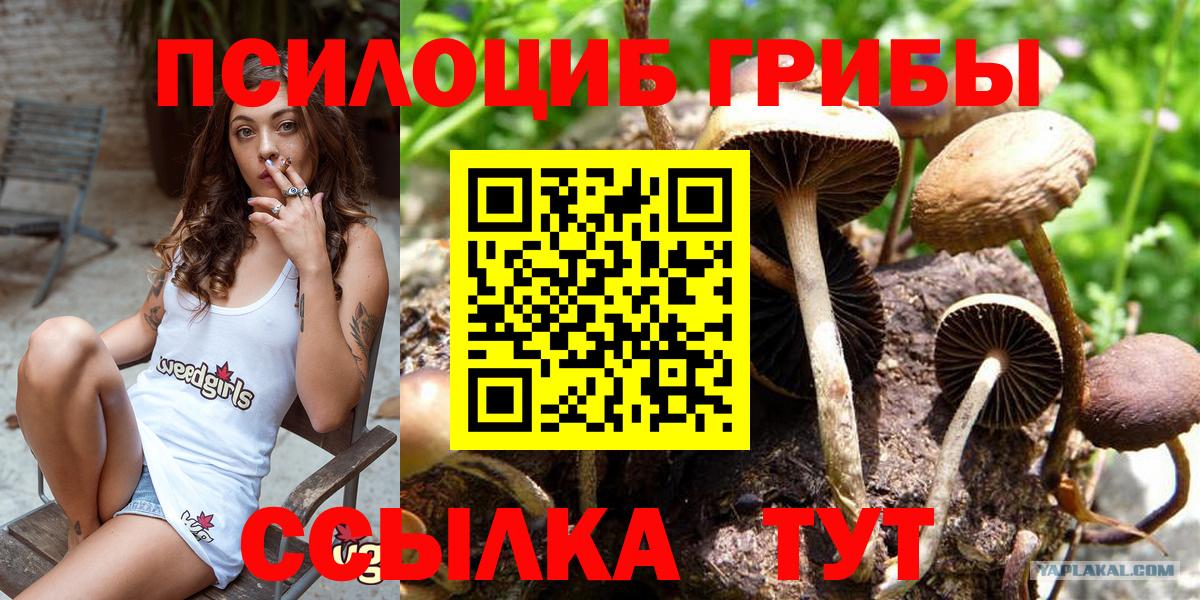 Псилоцибиновые грибы мухоморы Гатчина