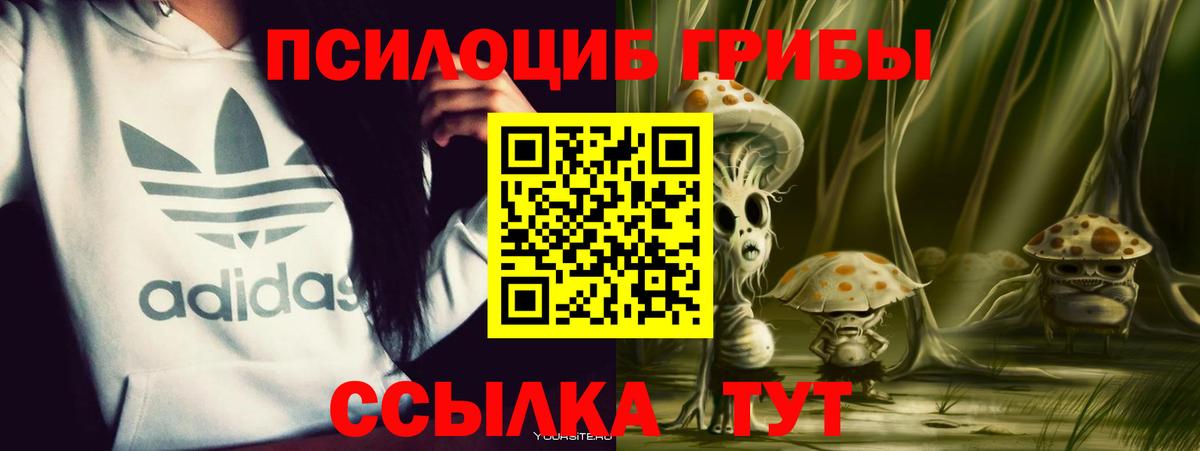 Канабис  ГАШИШ  Купить наркотики цена  Вход с VPN  Гашиш  Molly  COCAIN  СОЛЬ CK  Гатчина  Мефедрон  Мяу-Мяу 