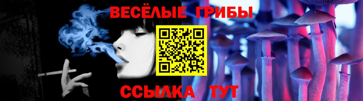 Галлюциногенные грибы Psilocybe Гатчина