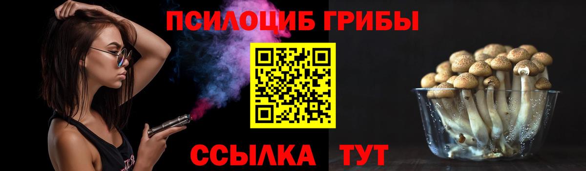 Гатчина  Галлюциногенные грибы Cubensis  Вход с VPN  Псилоцибиновые грибы мицелий 